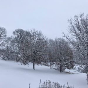 Meet your Posher, Marilyn